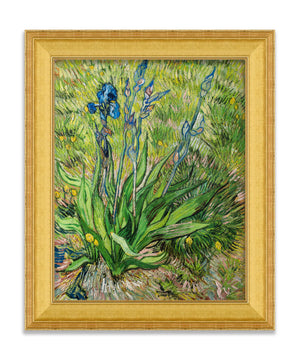 Iris by Van Gogh